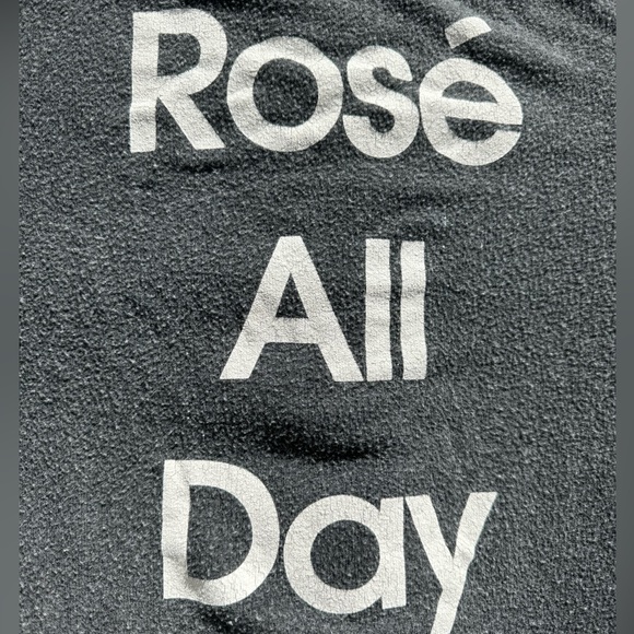 Rose All Day Wildfox Sweatshirt - Picture 3 of 5